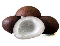 Dry Coconut